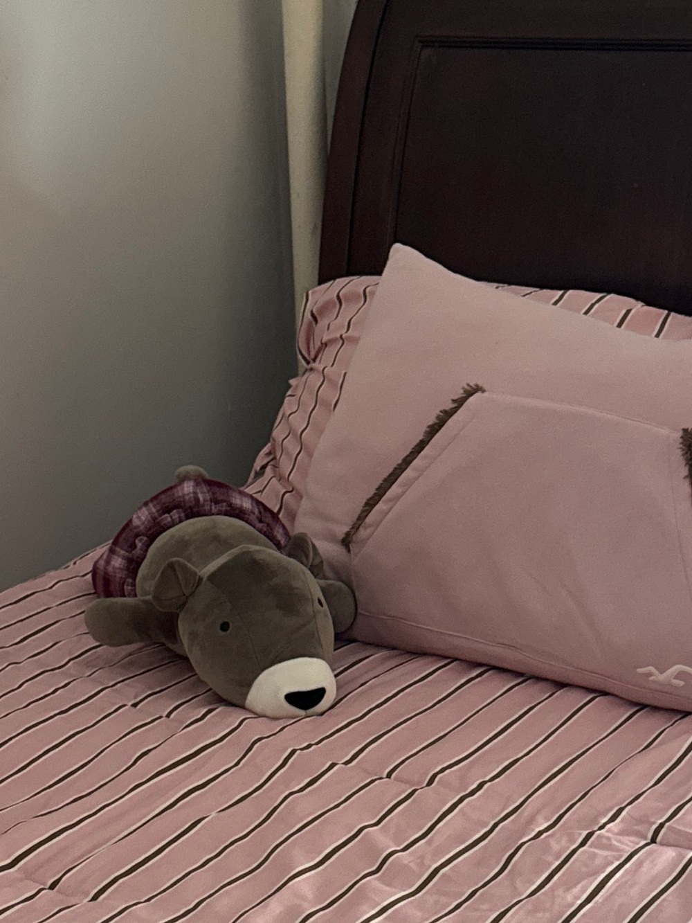 Hollister BEAR PILLOW